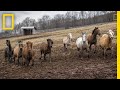 Katie's Photography and Horse Sanctuary