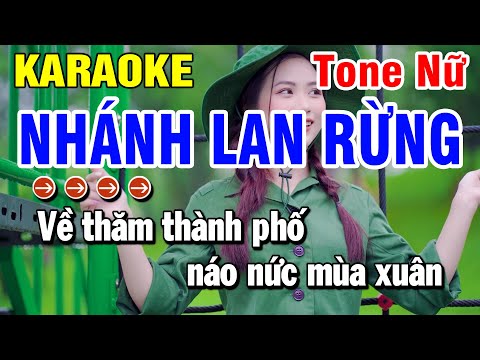 Nhánh Lan Rừng Karaoke Nhạc Sống Tone Nữ | Huỳnh Lê
