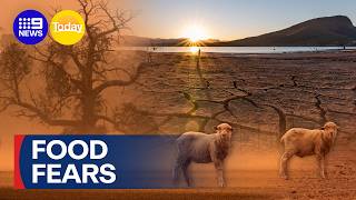 Record-breaking El Niño could leave Aussies sweating at the checkout | 9 News Australia