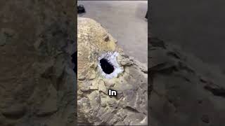 Sie ist auf einen Schlag Millionärin geworden. 😲🔥