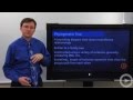 Phylogenetic Trees and Evolutionary Relationships