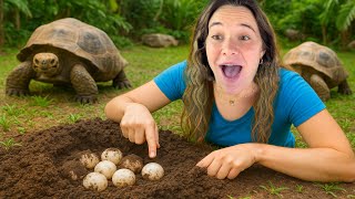 DIGGING UP A HIDDEN NEST OF EGGS!