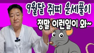 2025년도 9월달 쥐띠분들의 월간 사주 운세풀이                           #소원신사 #포항점집 #무당 #무속 #울산점집 #대구점집 #부산점집 #사주 #운세