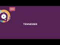 Musical Segments in Video Analysis
