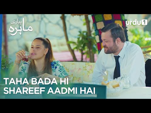 Taha bada hi shareef aadmi hai | Best Moment | Pyari Mahira | My Sweet Lie | EP 38