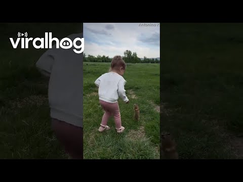 Kiddo Offers Food to Squirrels || ViralHog