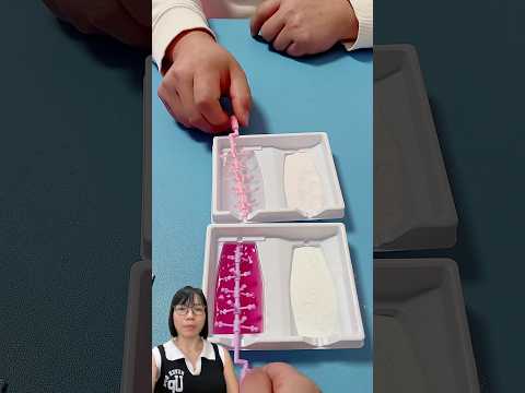 Trò chơi làm chùm nho #trending #trendingshorts #trendingvideo #shorts #shortsviral #viralshorts