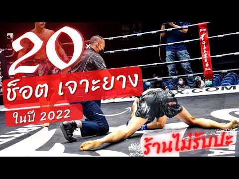 20 ช็อตนับน็อค | มวยไทยเตะขา "เจาะยาง" ปี 2022 | Low Kick Muaythai 2022 (K.O.)