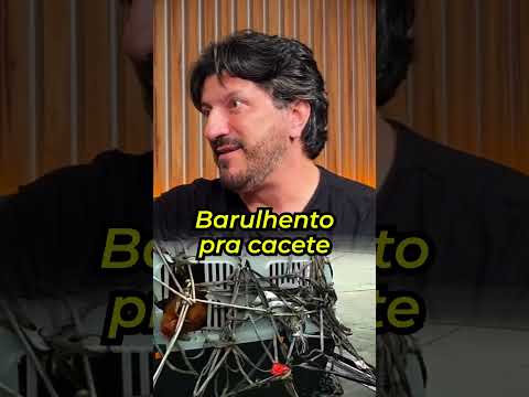 O GRANDE PROBLEMA DE LEVAR CACHORROS NO AVIÃO #podcast #animais #shorts