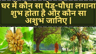घर में कौन सा पेड़ पौधा लगाना शुभ होता है और कौन सा अशुभ जानिए