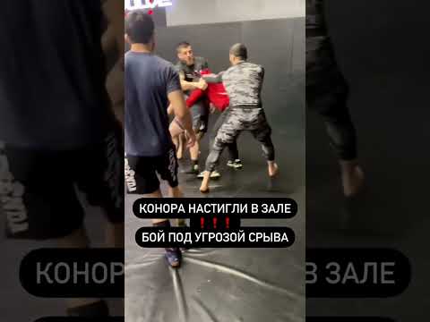 БАРКИНХОЕВ НАСТИГ КОНОРА В ЗАЛЕ! Бой на грани срыва!