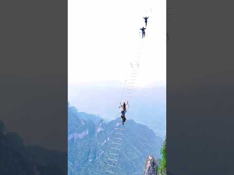 ৫০ হাজার বছর