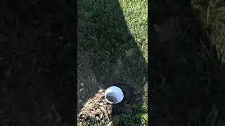 How to fix a flooding yard