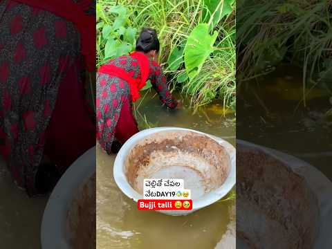 చెల్లితో చేపల వేటDAY19🐠#ytshorts #fish#fishingvideo #villagefishinglife #villagevlog #villagefish