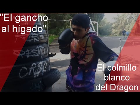 "El gancho al hígado" El colmillo blanco del Dragon