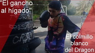"El gancho al hígado" El colmillo blanco del Dragon