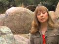 Cultural Exchange and Indigenous Traditions