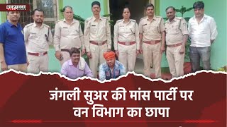जंगली सुअर की मांस पार्टी पर वन विभाग का छापा