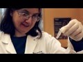 Plasmid DNA Extraction Techniques