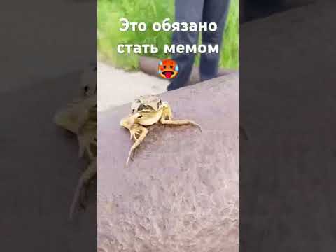 #актив