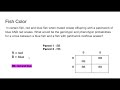 Mixed Punnett Square Practice Challenge