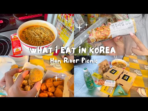 What I eat in Korea | Han River Picnic