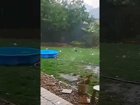 Shocking shots #youtube #shocking #weather