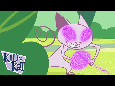 Nunca llores oveja | Niño Vs. Gato - WildBrain | Películas para niños