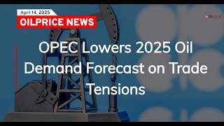 OPEC Lowers 2025 Oil Demand Forecast on Trade Tensions