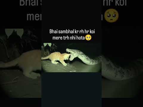 funny reel ... #viral #viralvideo