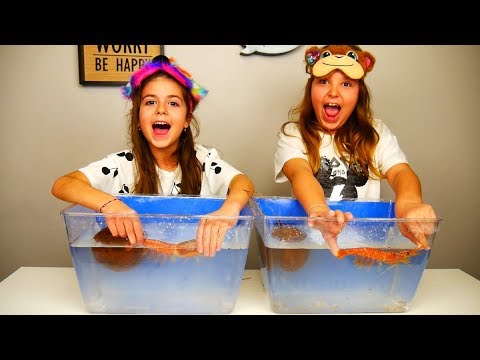 ARIADNI ARTEMI ⭐ ΤΙ ΕΧΕΙ ΜΕΣΑ ΣΤΟ ΝΕΡΟ 2 ?? whats in the box challenge underwater 2019 !!!