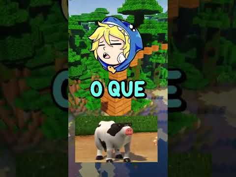 TE DOY SOPA DE TIBURON