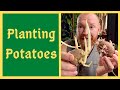 Potato Growing Techniques and Tips