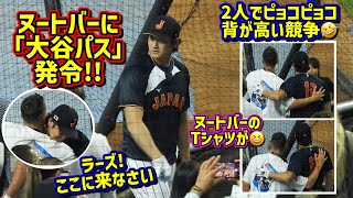 再会‼️ヌートバーに大谷パス発令😆思い出の地で仲良すぎな2人が最高だった【現地映像】WBC準々決勝ShoheiOhtani