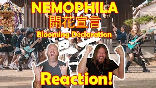 Musicians react to hearing NEMOPHILA / 開花宣言 [Official Music Video] for the very first time!!!!!