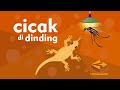 Kuis Cicak di Dinding