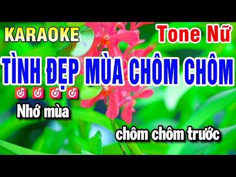 Karaoke Tình Đẹp Mùa Chôm Chôm Nhạc Sống Tone Nữ | Huỳnh Anh