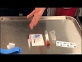 Essential Phlebotomy Equipment Insights