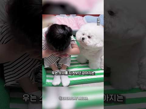 주인이 슬퍼하자 반려견이 보여준 놀라운 반응