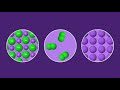 Types of Chemical Bonds and Their Properties