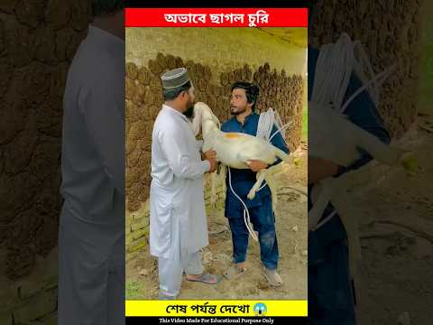 অতিরিক্ত অভাবে পড়ে মানুষের ছাগল চুরি করলো 🐏🐏 #shorts #shortvideo #shortstory