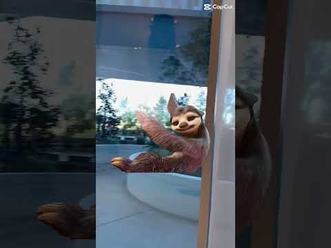 Sloth humor #rap #guess #funny #cute #animation #cartoon