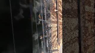 Sou Gavião Fiel de origem louco, nada bobo.Não brigo pelo jogo, sou fogo contra fogo. @jp_drone