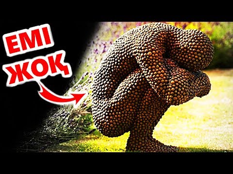 Бұл аурулар ешқашан емделмейді