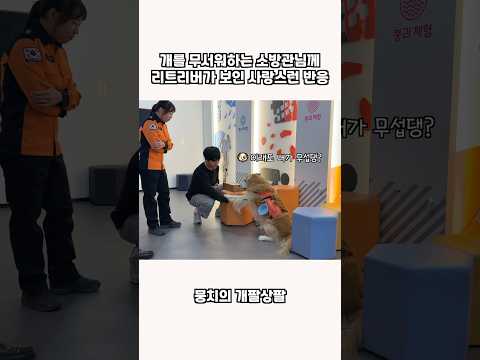 개를 무서워하는 소방관님께 리트리버가 보인 사랑스런 반응