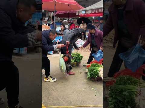 Funny Short Video 🥰 #funny #funnyshorts #entertainment #shorts