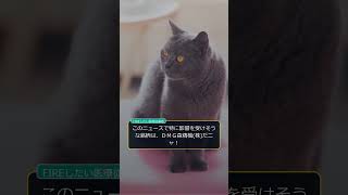 【猫解説】日本の機械受注が悪化、設備投資に逆風 #Shorts