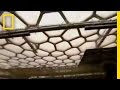 Mega Architecture: The Water Cube
