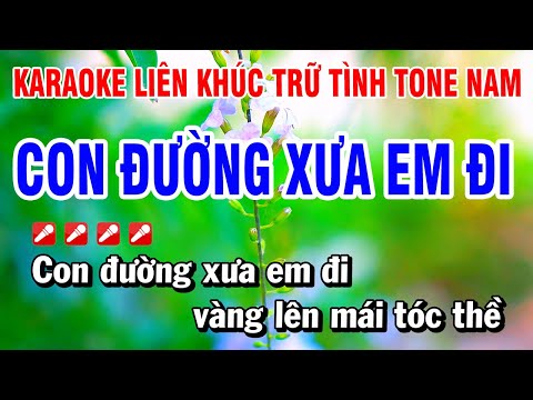 Karaoke Liên Khúc Trữ Tình Tone Nam Nhạc Sống Dễ Hát – Con Đường Xưa Em Đi | Hoài Phong Organ