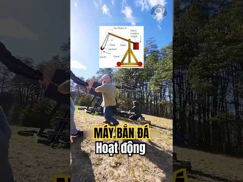 Vũ khí mạnh nhất thời cổ đại #lichsu #vukhi #trebuchet #codai #vatly #khampha